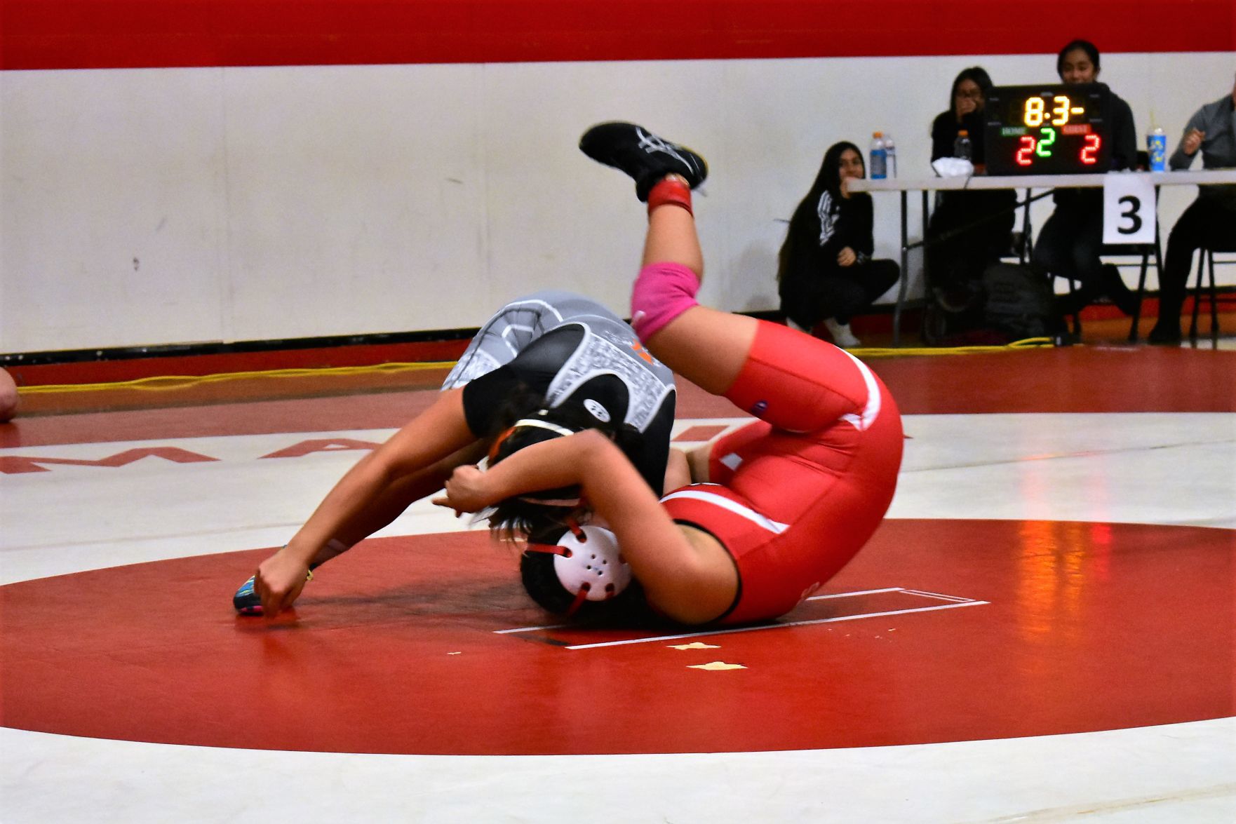 Girls Wrestling All Schools Meet at SMHS 15